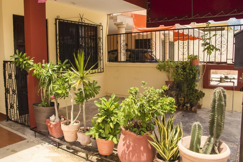 La Casa del Chac Mérida Exterior foto